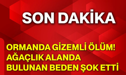 Ormanda Gizemli Ölüm! Ağaçlık Alanda Bulunan Beden Şok Etti