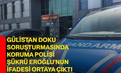 Gülistan Doku soruşturmasında koruma polisi Şükrü Eroğlu'nun ifadesi ortaya çıktı