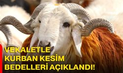Vekaletle Kurban Kesim Bedelleri Açıklandı!