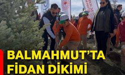 Balmahmut’ta fidan dikimi