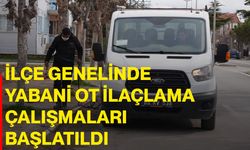 İlçe Genelinde Yabani Ot İlaçlama Çalışmaları Başlatıldı