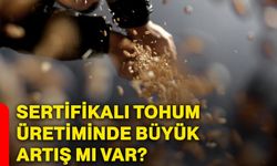 Sertifikalı tohum üretiminde büyük artış mı var?