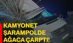 Kamyonet şarampolde ağaca çarptı!