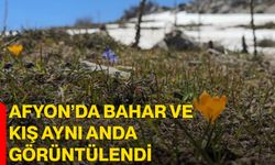 Afyon’da Bahar ve Kış Aynı Anda Görüntülendi