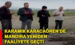 Karamık Karacaören’de mandıra yeniden faaliyete geçti