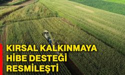 Kırsal kalkınmaya hibe desteği resmileşti