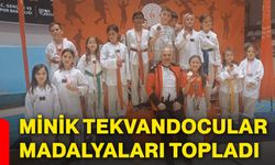 Minik tekvandocular madalyaları topladı