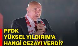 PFDK Yüksel Yıldırım’a hangi cezayı verdi?