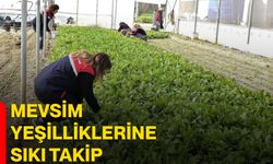 Mevsim yeşilliklerine sıkı takip