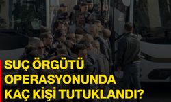 Suç örgütü operasyonunda kaç kişi tutuklandı?
