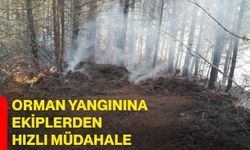 Orman yangınına ekiplerden hızlı müdahale