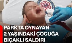Parkta oynayan 2 yaşındaki çocuğa bıçaklı saldırı