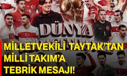 Milletvekili Mehmet Taytak’tan Milli Takım’a Tebrik Mesajı