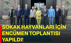 Sokak Hayvanları İçin Encümen Toplantısı Yapıldı