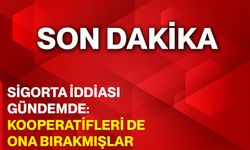 Yolsuzluğun sigortacısı yine sahnede! Kooperatifleri de ona bırakmışlar