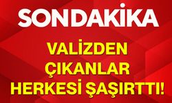 Valizden Çıkanlar Herkesi Şaşırttı!