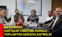 AK Parti’de Haftalık Yürütme Kurulu Toplantısı Gerçekleştirildi