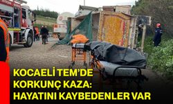 Kocaeli TEM’de Korkunç Kaza: Hayatını Kaybedenler Var