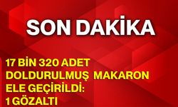 17 bin 320 adet doldurulmuş makaron ele geçirildi, 1 gözaltı