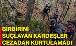 Birbirini suçlayan kardeşler cezadan kurtulamadı