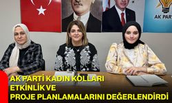 AK Parti Kadın Kolları, Etkinlik ve Proje Planlamalarını Değerlendirdi