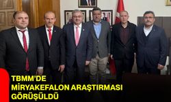TBMM’de Miryakefalon Araştırması Görüşüldü