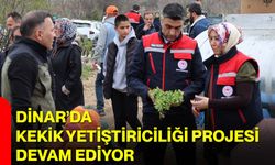 Dinar’da Kekik Yetiştiriciliği Projesi devam ediyor