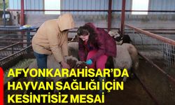 Afyonkarahisar’da Hayvan Sağlığı İçin Kesintisiz Mesai