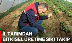 İl Tarımdan Bitkisel Üretime Sıkı Takip