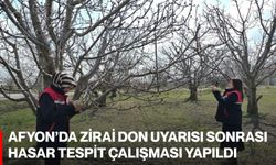 Afyon’da Zirai Don Uyarısı Sonrası Hasar Tespit Çalışması Yapıldı