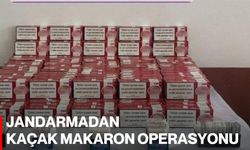 Jandarmadan kaçak makaron operasyonu