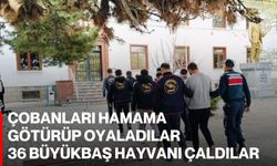 Çobanları hamama götürüp oyaladılar, 36 büyükbaş hayvanı çaldılar