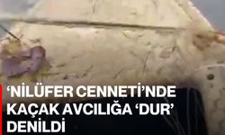 ‘Nilüfer Cenneti’nde kaçak avcılığa ‘dur’ denildi