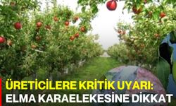 Üreticilere Kritik Uyarı: Elma Karaelekesine Dikkat