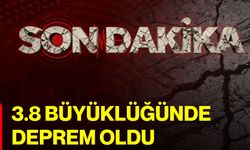 3.8 Büyüklüğünde Deprem Oldu