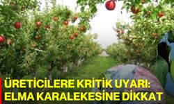 Üreticilere Kritik Uyarı: Elma Karalekesine Dikkat