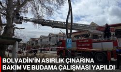 Bolvadin’in Asırlık Çınarına Bakım Ve Budama Çalışması Yapıldı