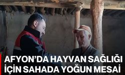 Afyon’da Hayvan Sağlığı İçin Sahada Yoğun Mesai