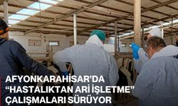 Afyonkarahisar’da “Hastalıktan Ari İşletme” Çalışmaları Sürüyor