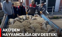 AKÜ’den Hayvancılığa Dev Destek!