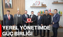 Yerel Yönetimde Güç Birliği