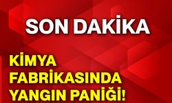 Kimya fabrikasında yangın paniği!