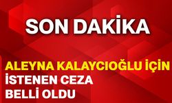 Aleyna Kalaycıoğlu için istenen ceza belli oldu