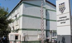 AAF İŞLETME MÜDÜRLÜĞÜ ÇEVRE SAĞLIĞI ZARARLILARI İLE MÜCADELE HİZMETİ (ÇSZM)