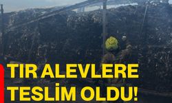 Tır alevlere teslim oldu!