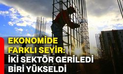 Ekonomide farklı seyir: İki sektör geriledi, biri yükseldi