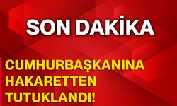 Cumhurbaşkanına Hakaretten Tutuklandı