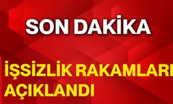 İşsizlik Rakamları Açıklandı