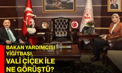 Bakan Yardımcısı Yiğitbaşı, Vali Çiçek ile ne görüştü?