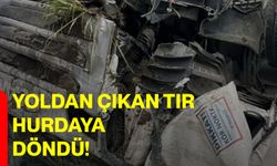 Yoldan çıkan tır hurdaya döndü!